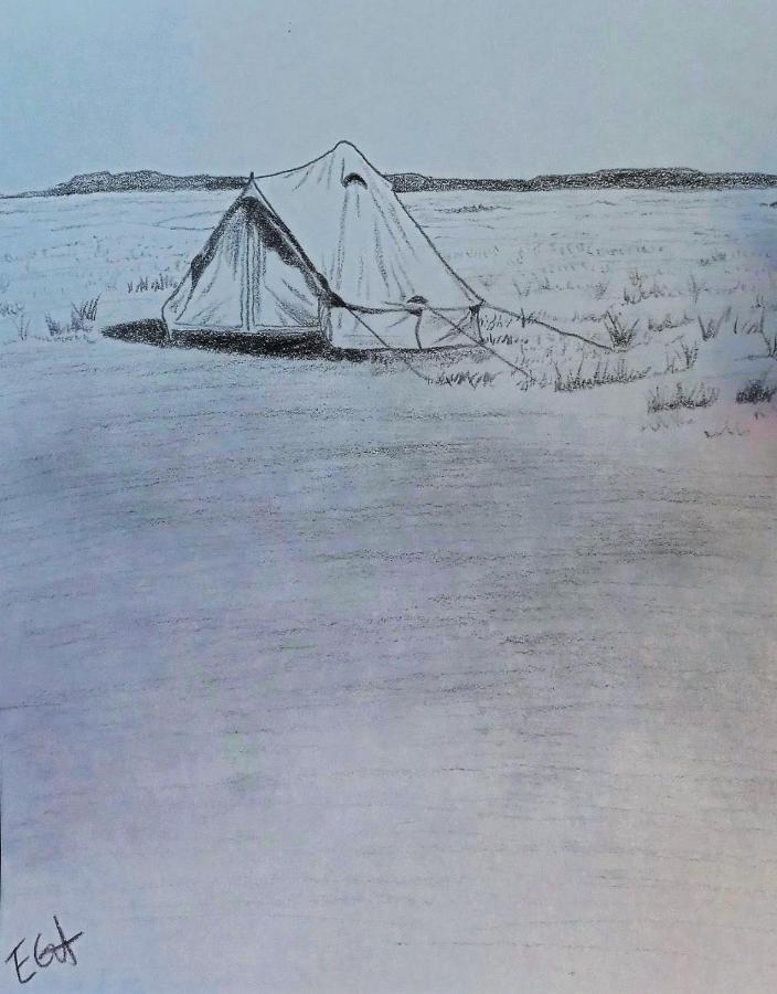 Starlight Tent 2 霍尔布鲁克 外观 照片