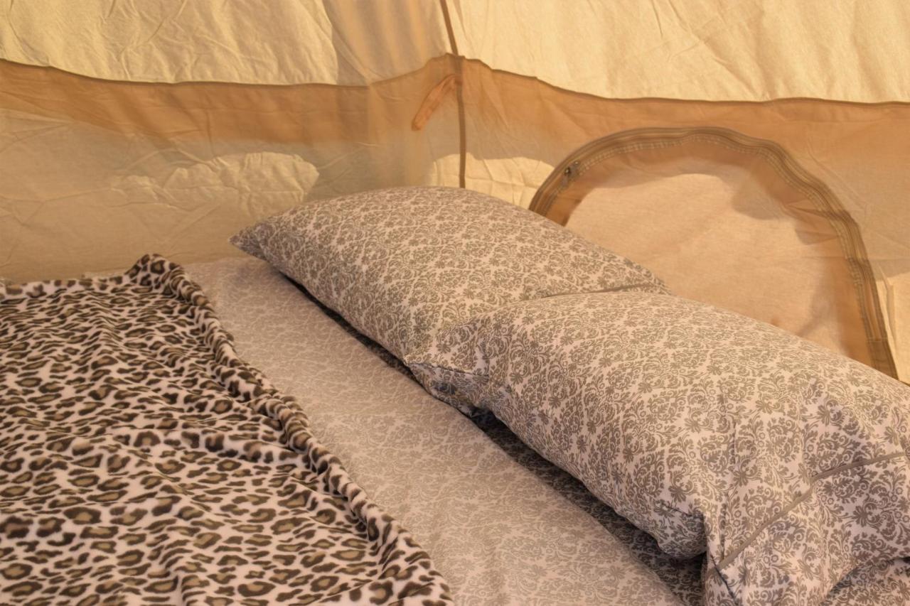 Starlight Tent 2 霍尔布鲁克 外观 照片